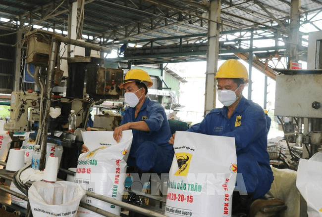 Giá phân bón tăng mạnh trong vòng 50 năm qua: Giải pháp nào để bình ổn?