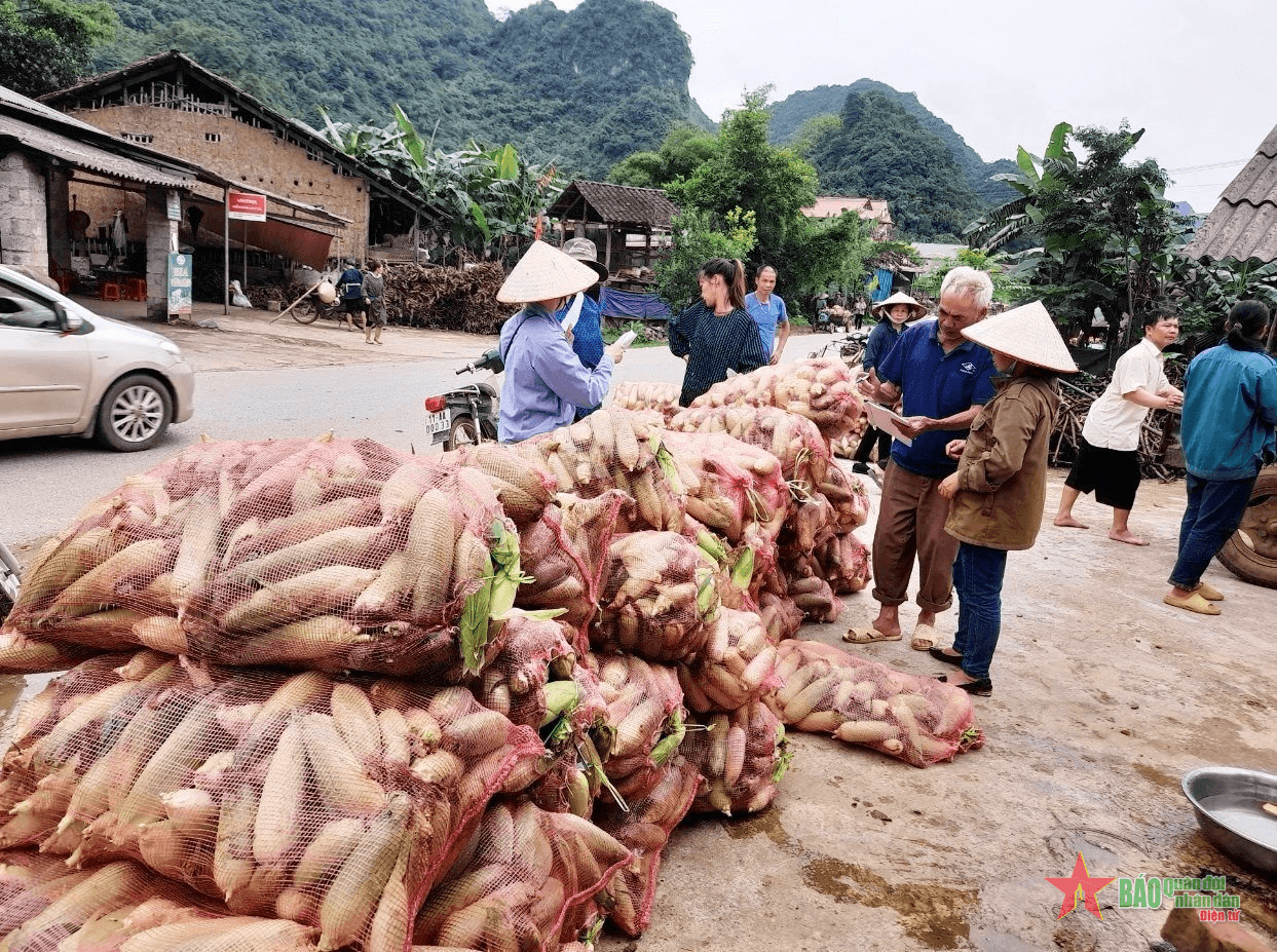 Giúp đồng bào nâng cao hiệu quả trong sản xuất nông nghiệp