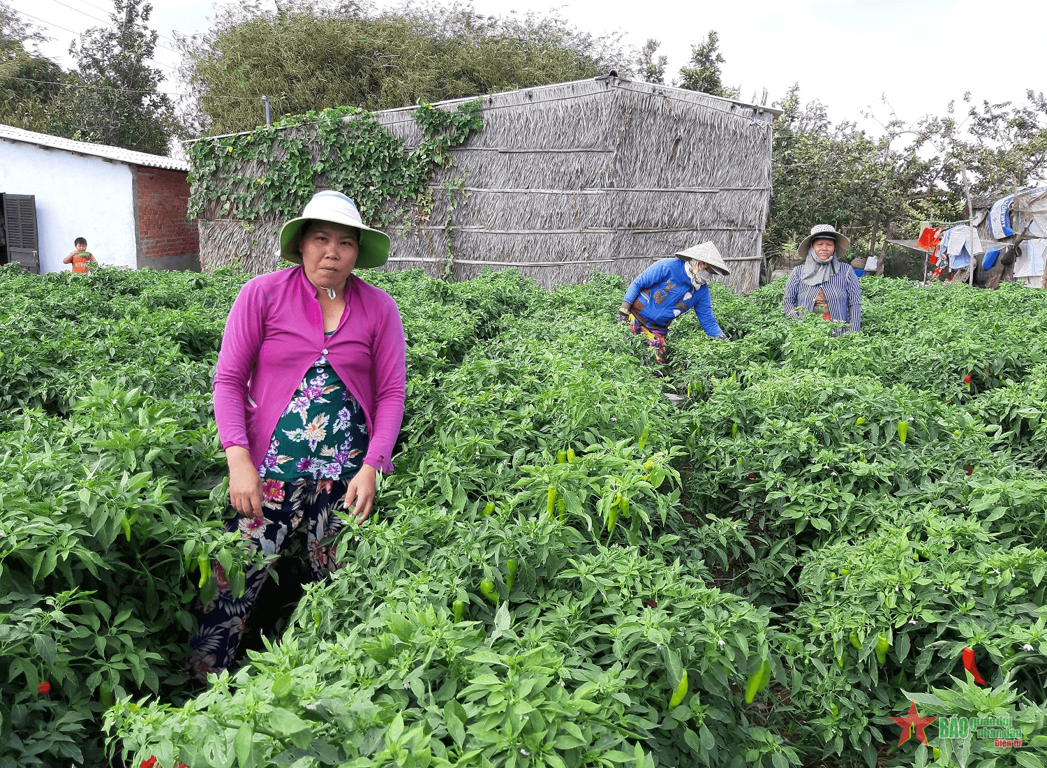 Hỗ trợ người dân thoát nghèo từ nguồn vốn vay ưu đãi
