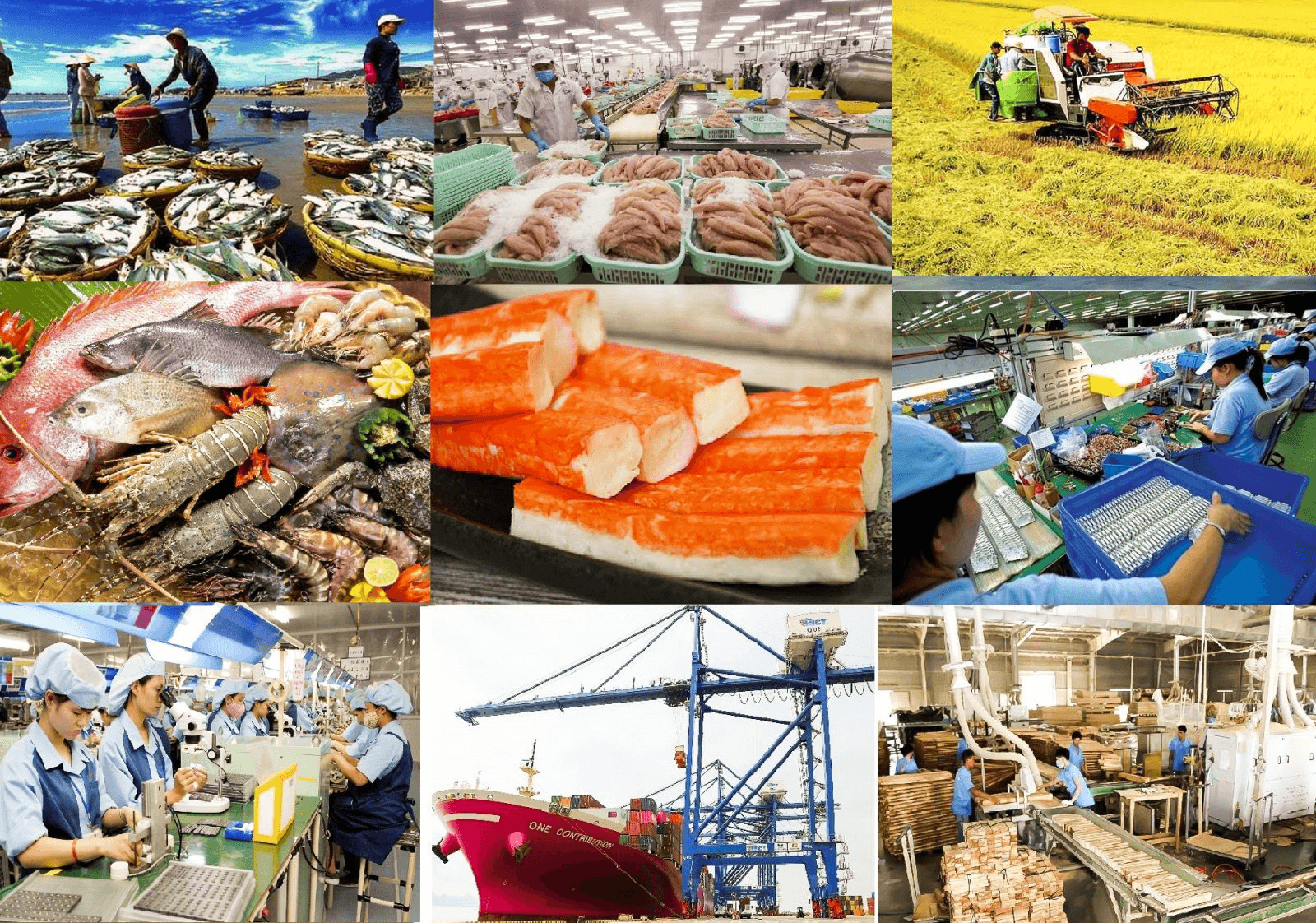 Để xuất khẩu bền vững vào các thị trường FTA: Doanh nghiệp Việt cần bắt nhịp kịp với thị trường