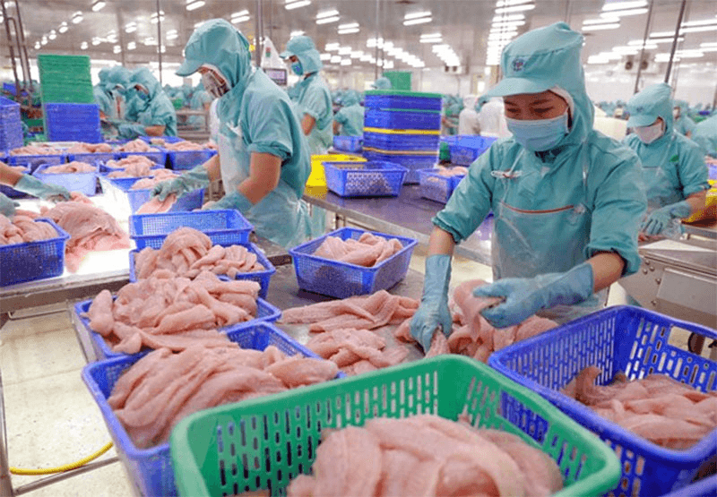 Tín hiệu mừng từ con cá tra