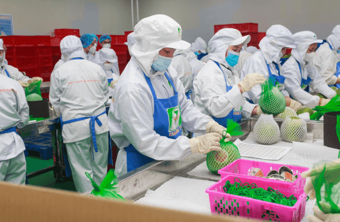 Tăng sự hiện diện của thương hiệu Việt tại thị trường EU