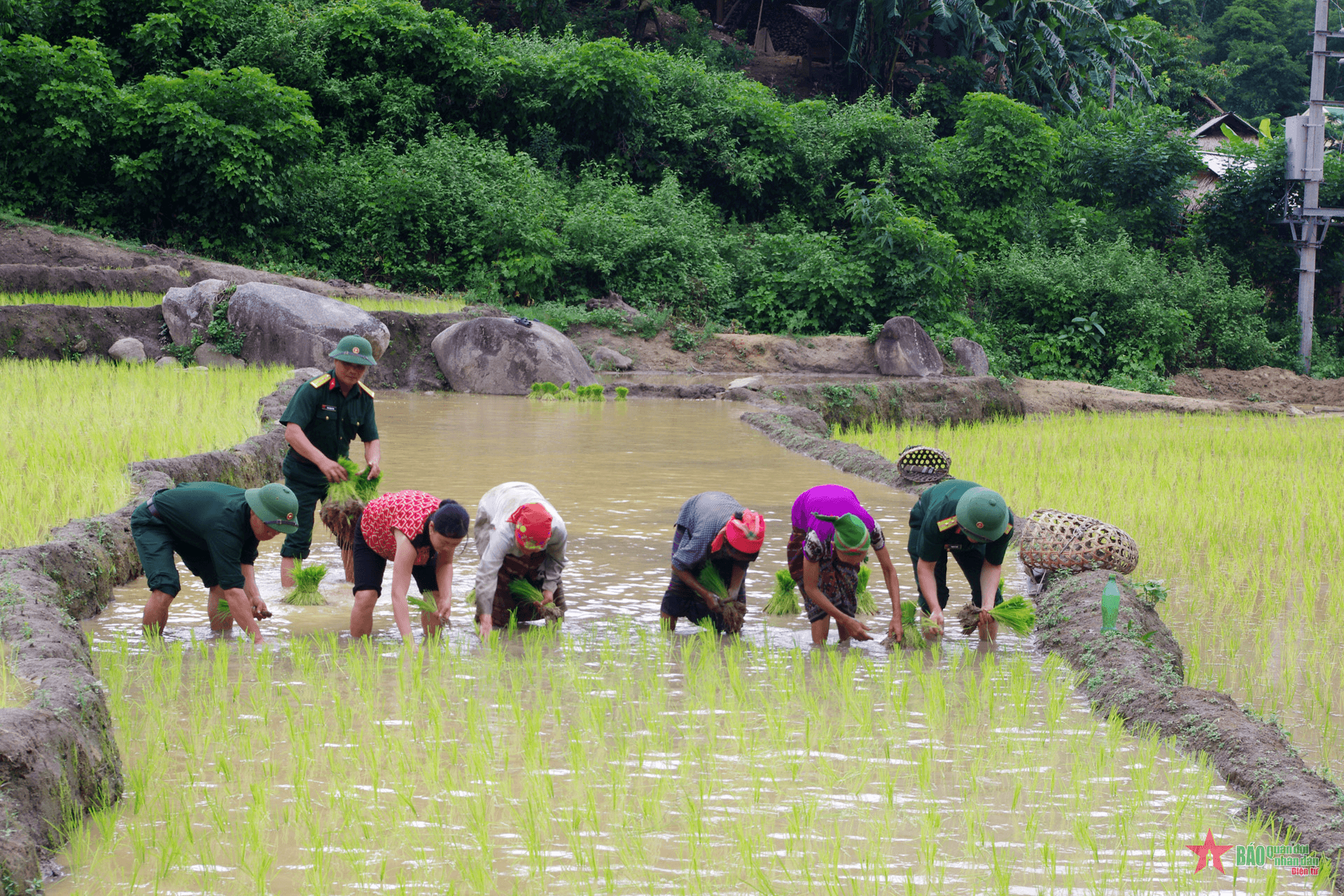 Đồng hành “đánh giặc” đói nghèo