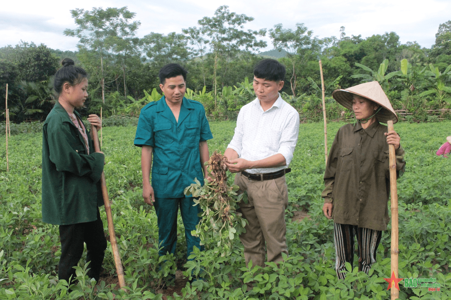 Nỗ lực thoát nghèo ở Tương Dương
