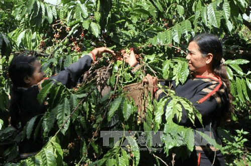 Nguồn lực giảm nghèo vùng Tây Nguyên