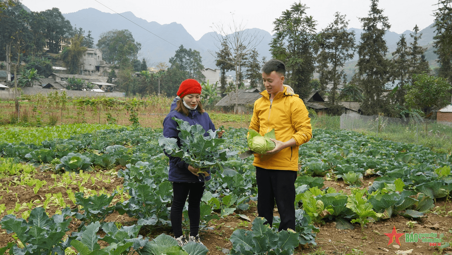 Tạo việc làm cho lao động nông thôn ở Mèo Vạc