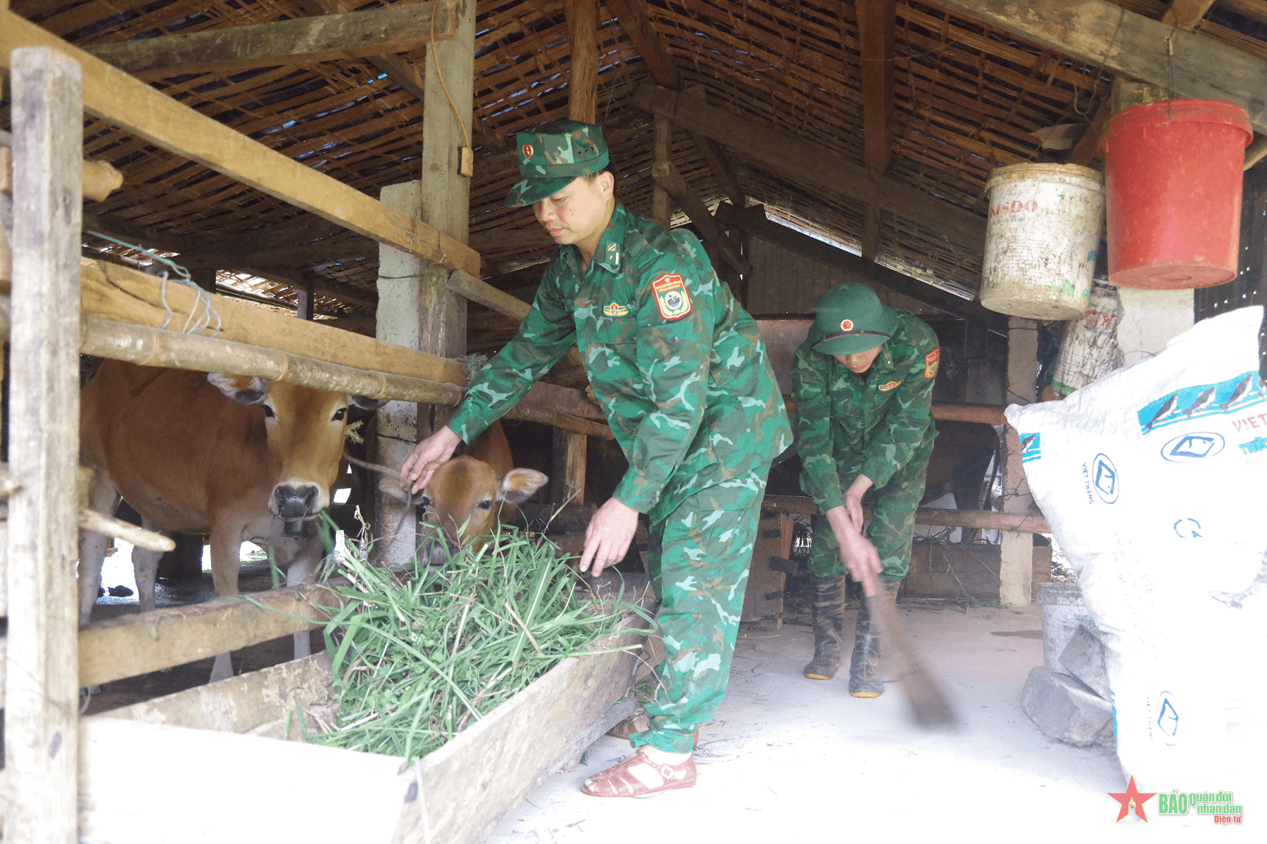 Tặng sinh kế để nhân dân biên giới xóa đói giảm nghèo
