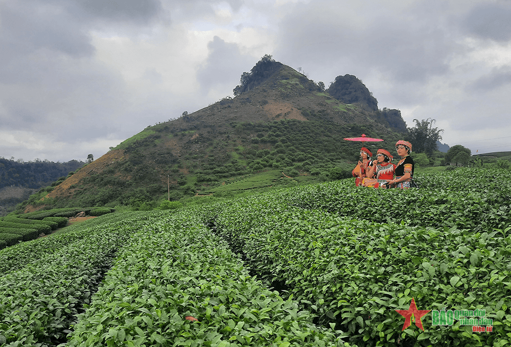 Thú vị du lịch Mộc Châu