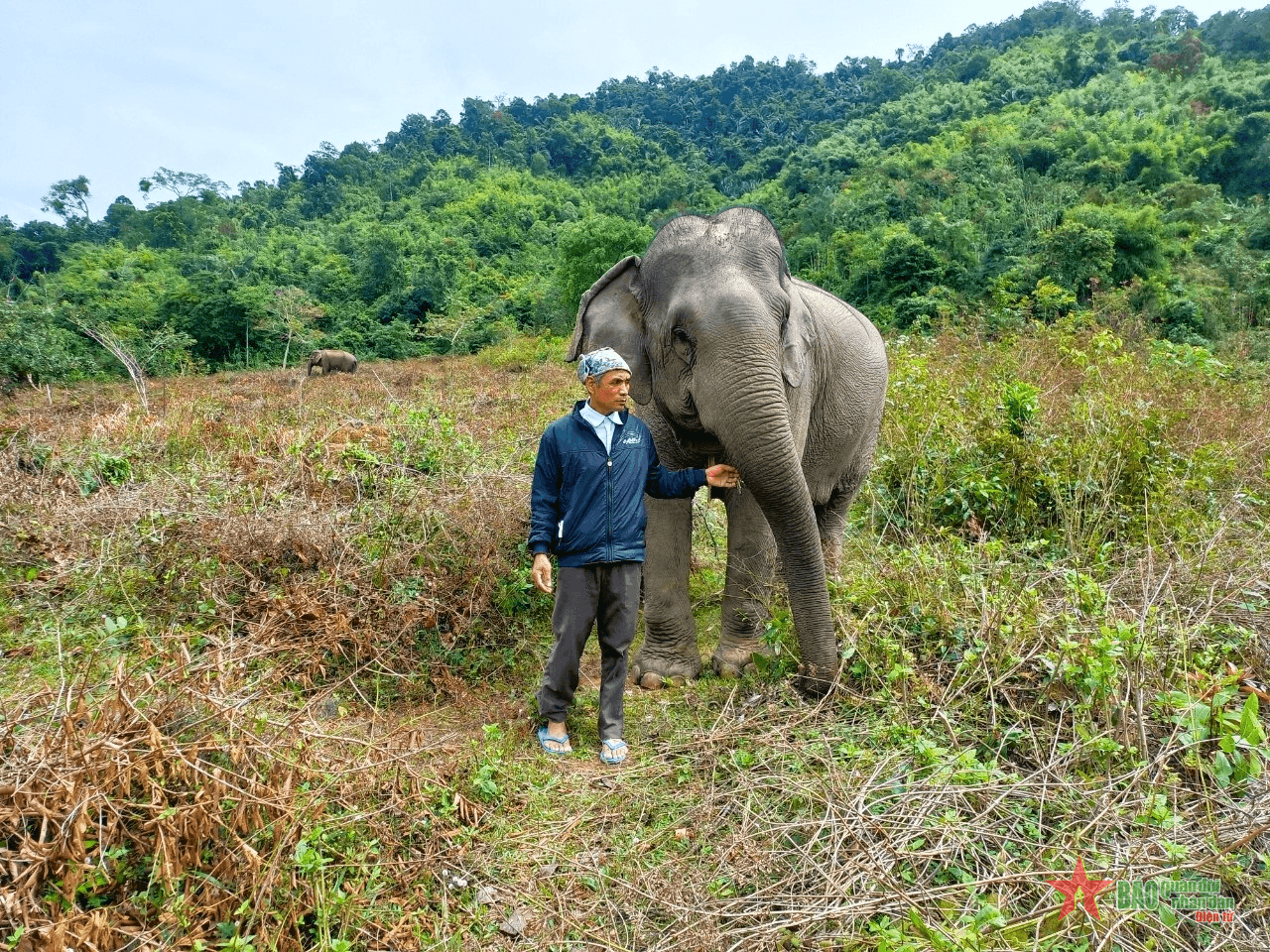 Người quản tượng ở chân núi Thần Đá