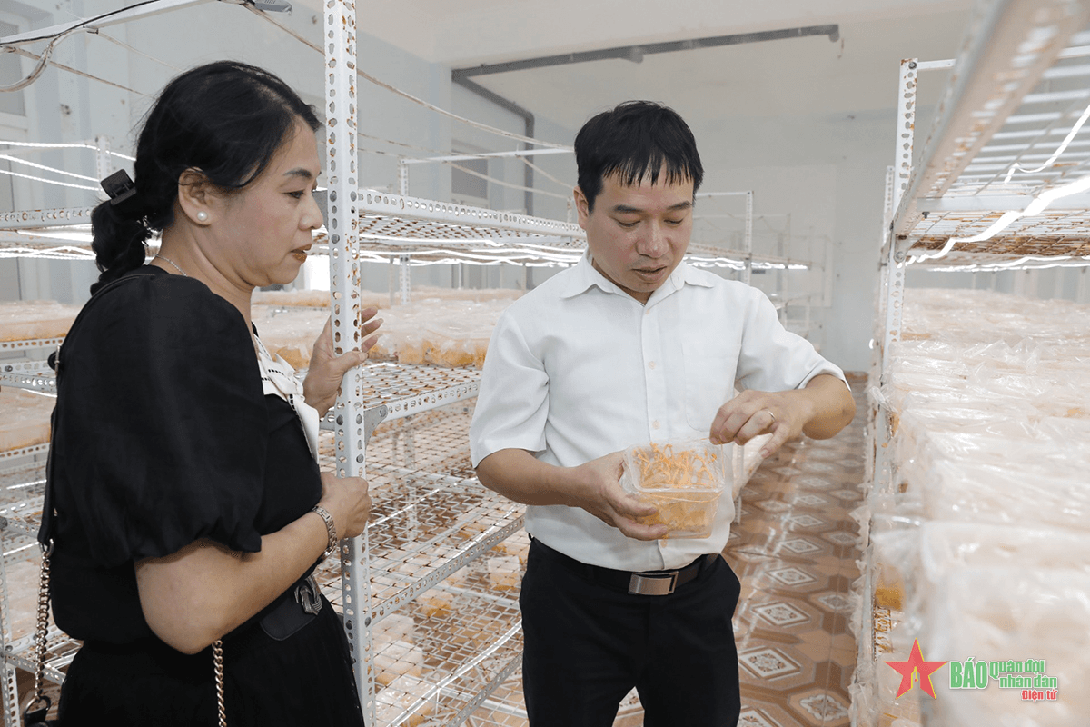 Nam Định tập trung đầu tư cho khoa học và công nghệ