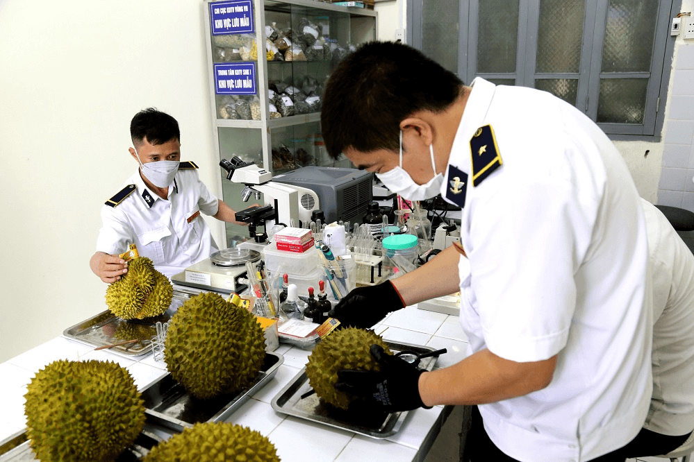 Để nông sản Việt Nam thâm nhập sâu vào thị trường khó tính