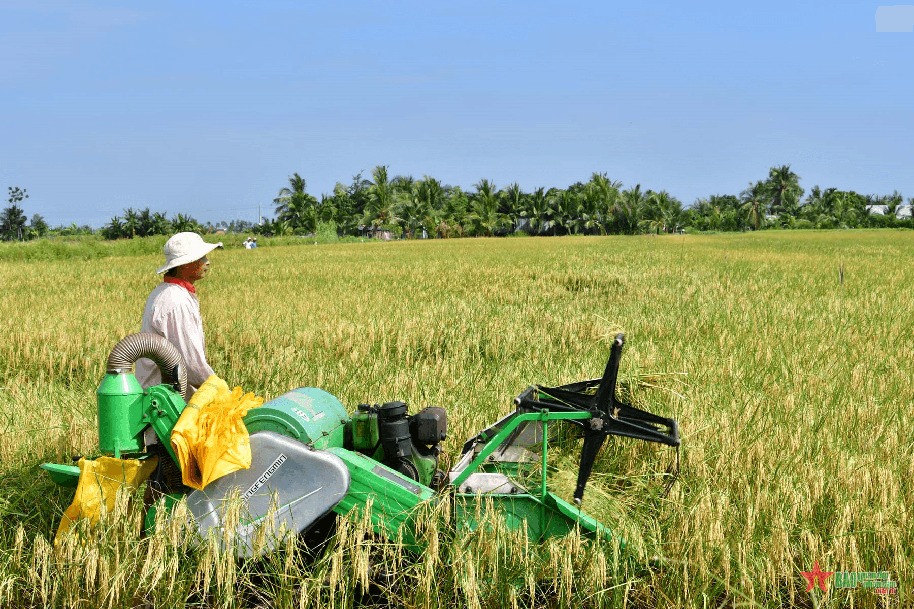 Trí Lực ngày ấy - bây giờ