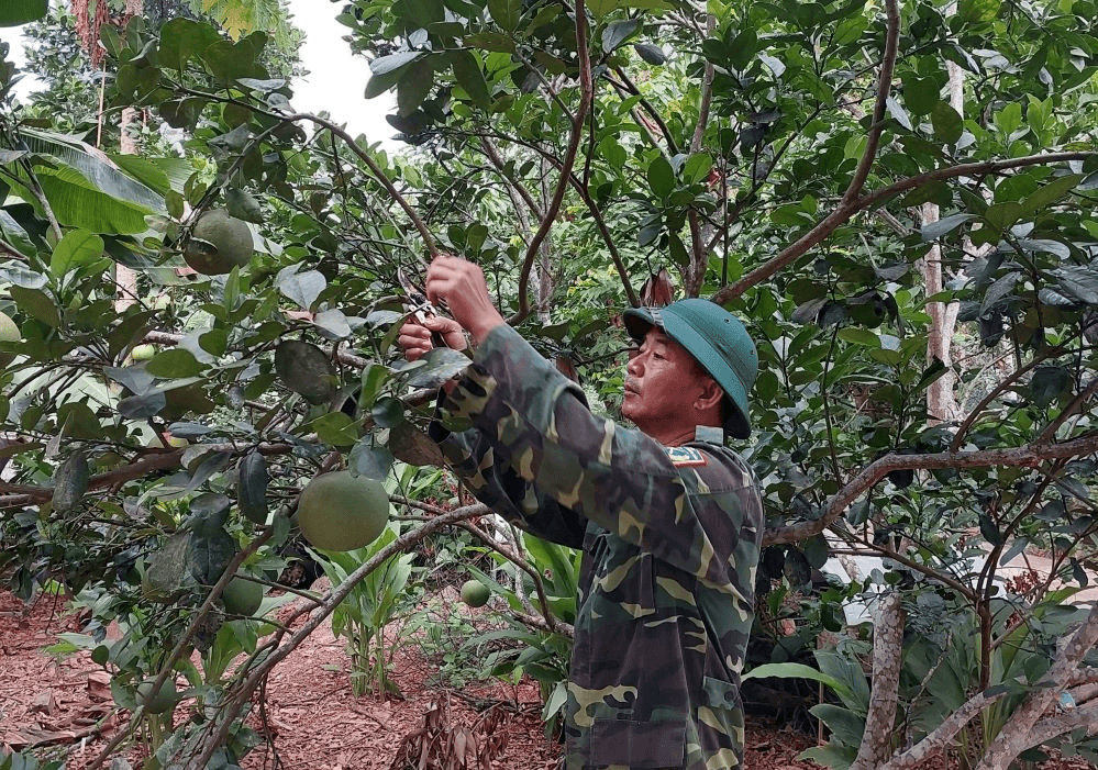 Quan tâm đội ngũ cán bộ cấp trung tá trở xuống khi thôi phục vụ tại ngũ