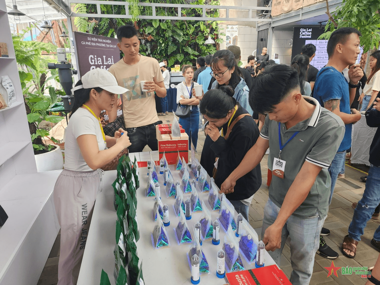 Xây dựng hệ sinh thái “from farm to cup” nâng cao giá trị cà phê Gia Lai