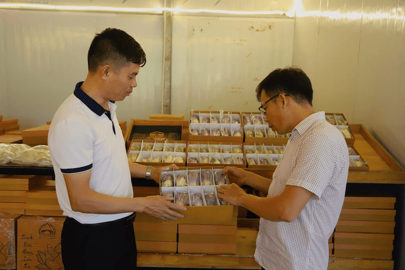 Tỷ phú vươn lên từ vùng trũng Mê Linh