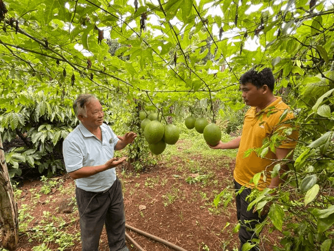 Chủ nhiệm của nông dân nghèo