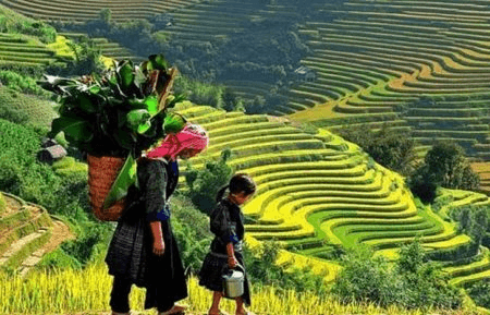 Chuyện ở bản: Chị Mua đã hiểu...
