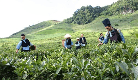 Hỏi-Đáp pháp luật: Hỗ trợ chi phí các dự án trung tâm hỗ trợ khởi sự kinh doanh, khởi nghiệp