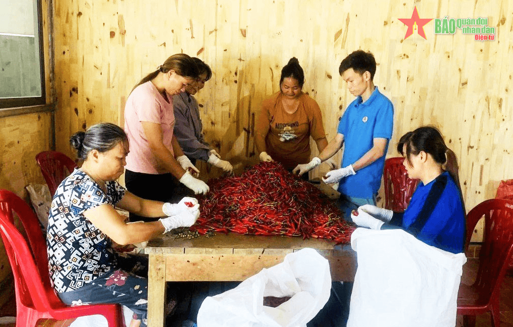 Giống cây mang lại kinh tế cho người dân biên giới Cao Bằng