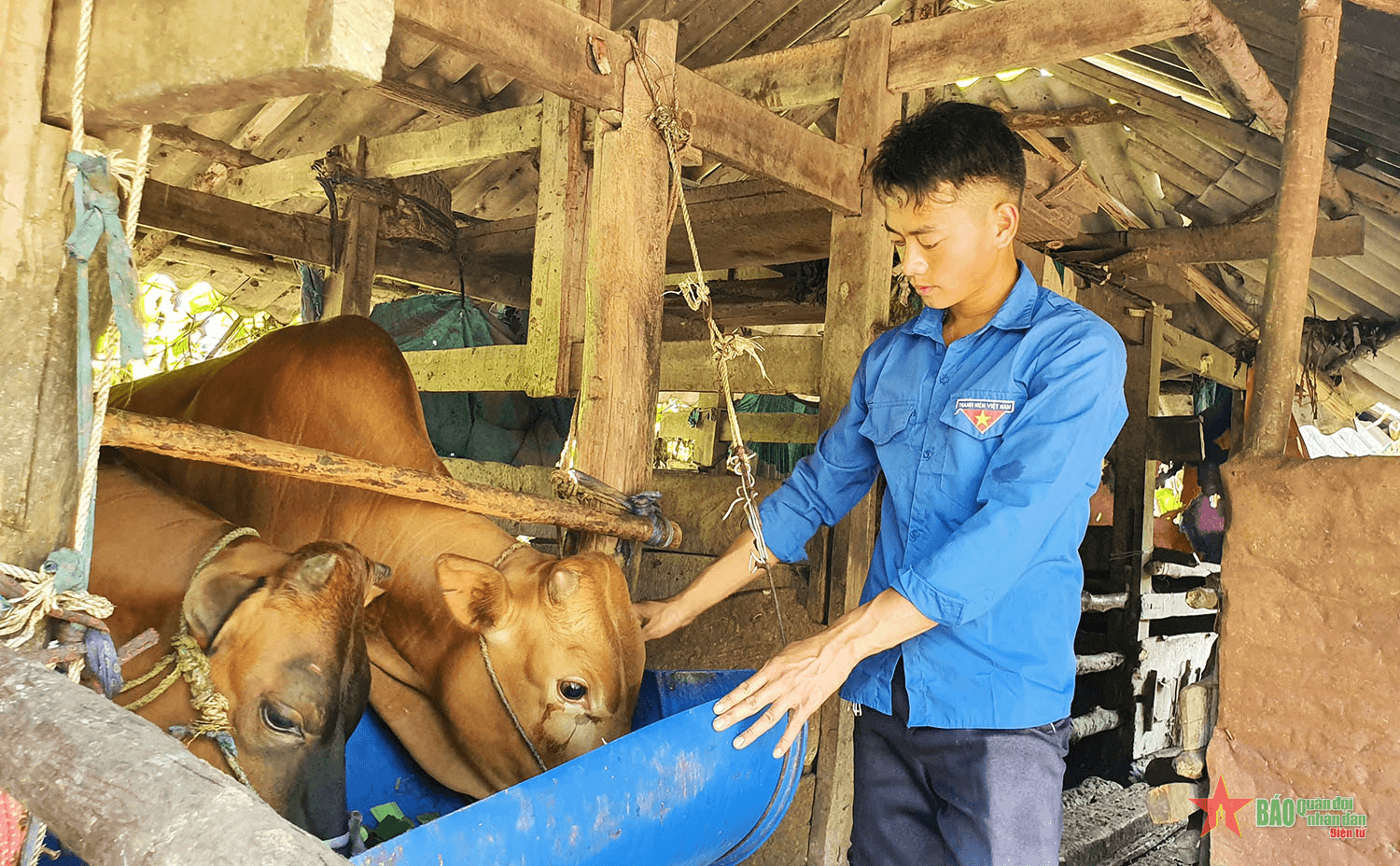 Giúp thanh niên vùng cao thoát nghèo bền vững