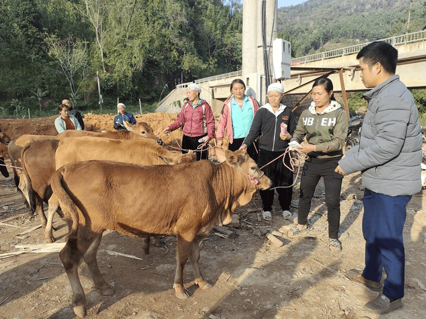 Bắc Kạn nỗ lực giảm nghèo bền vững