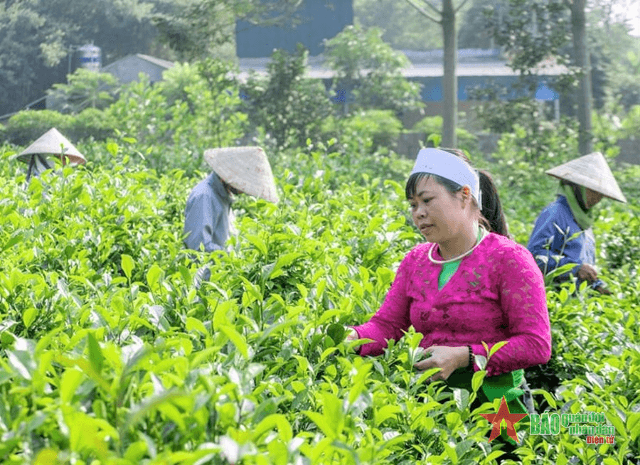 Hà Nội ưu tiên nguồn lực chăm lo vùng dân tộc thiểu số
