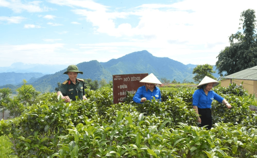 Quân khu 4 triển khai hiệu quả các dự án phát triển kinh tế - quốc phòng