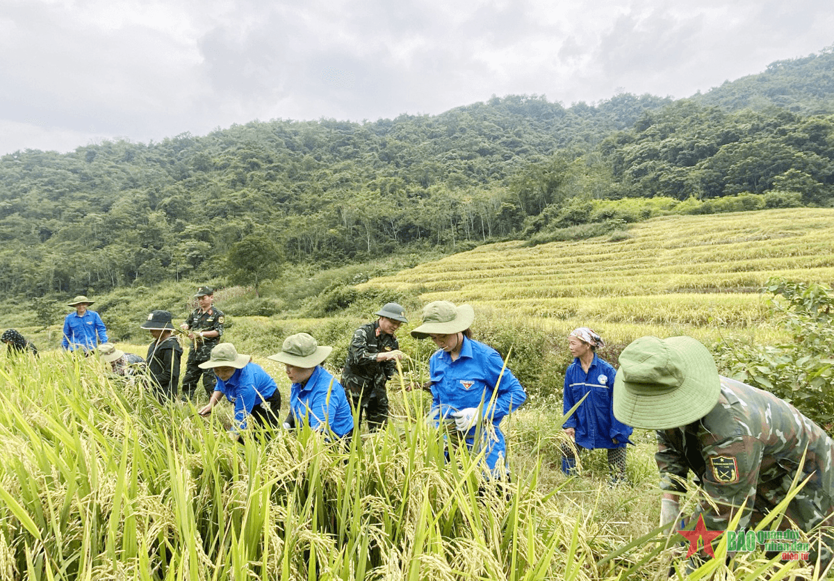 Bộ đội Đoàn Kinh tế-Quốc phòng 5 (Quân khu 4) đồng hành cùng đồng bào Quang Chiểu