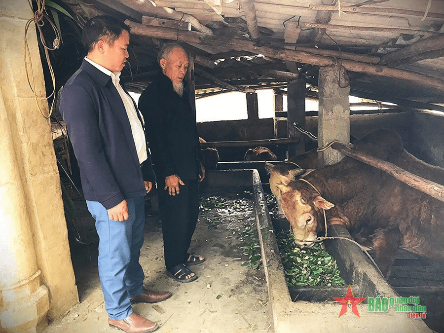Đổi thay từ những chương trình hỗ trợ
