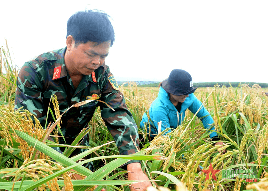 Vườn cây xóa đói, giảm nghèo