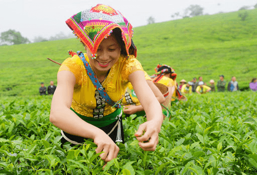 Hỏi-Đáp pháp luật: Trách nhiệm của Bộ Kế hoạch và Đầu tư trong thực hiện chương trình phát triển kinh tế-xã hội vùng đồng bào dân tộc thiểu số