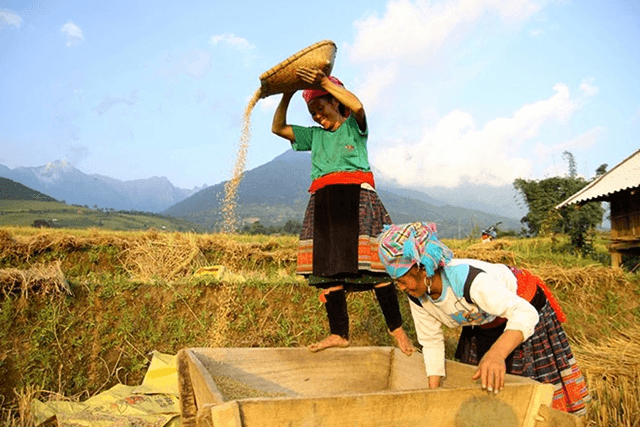 Hỏi-Đáp pháp luật: Tuyên truyền, khoa học công nghệ, mở rộng hợp tác quốc tế thực hiện chương trình phát triển kinh tế- xã hội vùng đồng bào dân tộc thiểu số