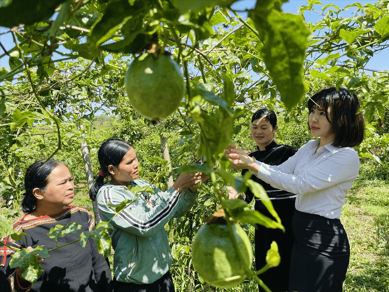 Hỏi-đáp pháp luật: Mục đích sử dụng vốn vay và thời hạn cho vay của chính sách tín dụng ưu đãi hỗ trợ đất ở