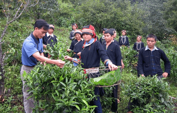 Hỏi-Đáp pháp luật: Trách nhiệm của các đơn vị được giao nhiệm vụ thực hiện một số nội dung thuộc dự án 1 và tiểu dự án 1, dự án 4