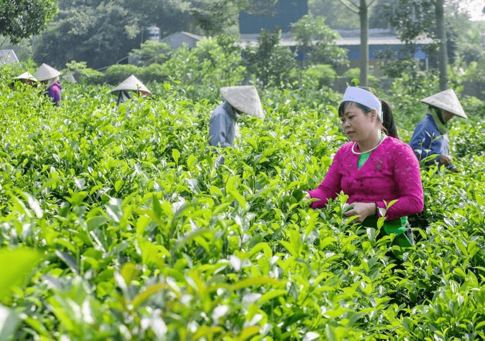 Người dân hưởng lợi từ Chương trình mục tiêu quốc gia 1719