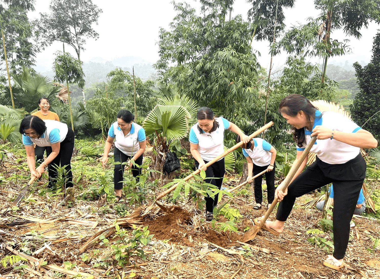 Trao cơ hội nâng cao vị thế của phụ nữ dân tộc thiểu số vùng cao Hà Giang