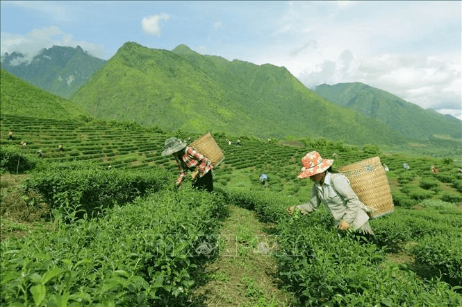 Hỏi-Đáp pháp luật: Quy trình lập và phê duyệt kế hoạch thúc đẩy khởi sự kinh doanh, khởi nghiệp và thu hút đầu tư ở địa phương