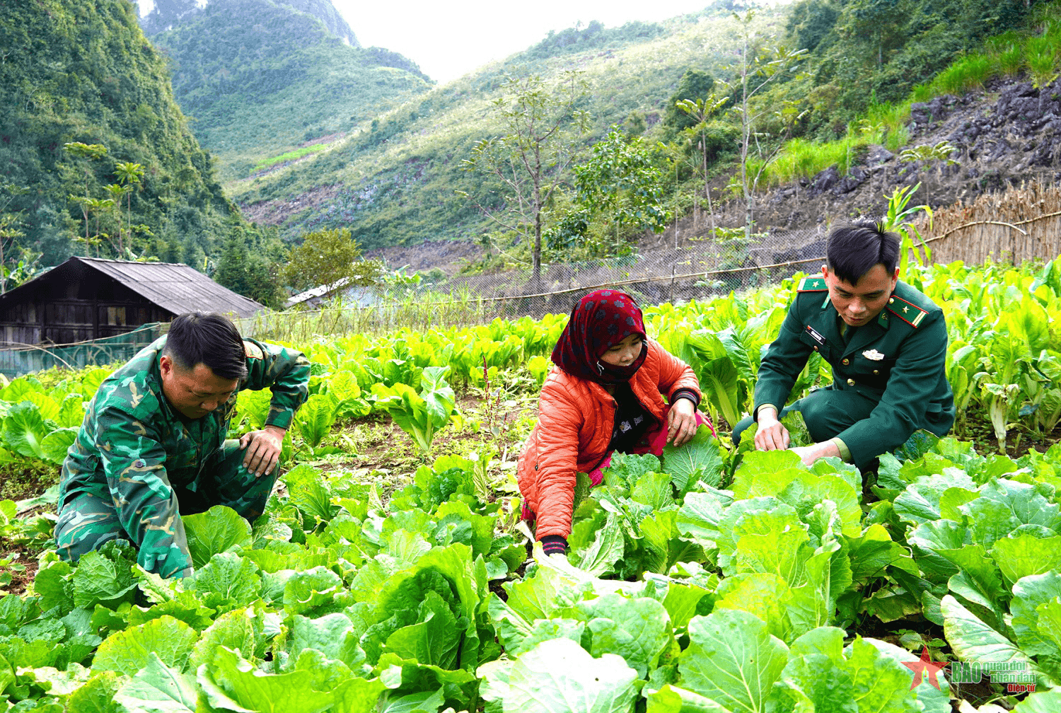 Bộ đội Biên phòng Hà Giang hỗ trợ người dân vùng biên thoát nghèo