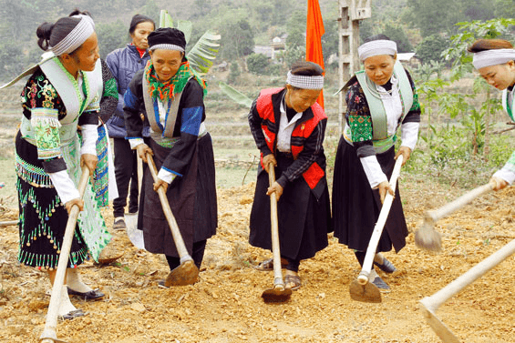 Hỏi-Đáp pháp luật: Tổ chức triển khai thực hiện tiểu dự án 2 của dự án 3 chương trình mục tiêu quốc gia phát triển kinh tế - xã hội vùng đồng bào dân tộc thiểu số và miền núi