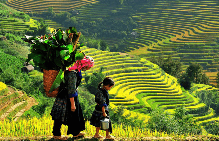Hỏi-Đáp pháp luật: Nguồn vốn ngân sách nhà nước cho tiểu dự án 2 của dự án 3 chương trình mục tiêu quốc gia phát triển kinh tế - xã hội vùng đồng bào dân tộc thiểu số và miền núi