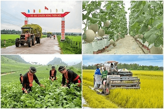 Hỏi-Đáp pháp luật: Chỉ tiêu cụ thể của Chương mục tiêu quốc gia phát triển kinh tế - xã hội vùng đồng bào dân tộc thiểu số và miền núi