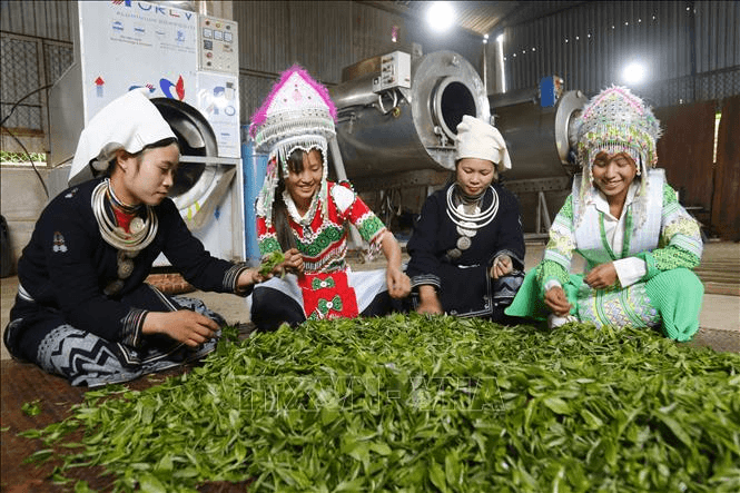 Hỏi-Đáp pháp luật: Quy trình lập kế hoạch và phê duyệt kế hoạch hỗ trợ vận hành các dự án Trung tâm hỗ trợ khởi sự kinh doanh, khởi nghiệp