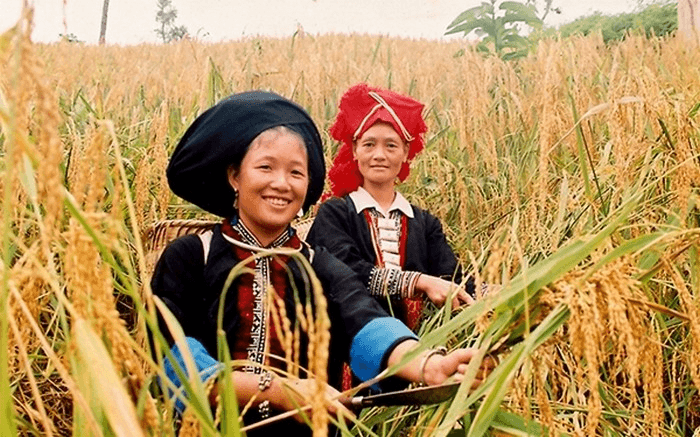 Hỏi-Đáp pháp luật: Duy tu, bảo dưỡng và quản lý, vận hành công trình cơ sở hạ tầng thiết yếu vùng đồng bào dân tộc thiểu số và miền núi
