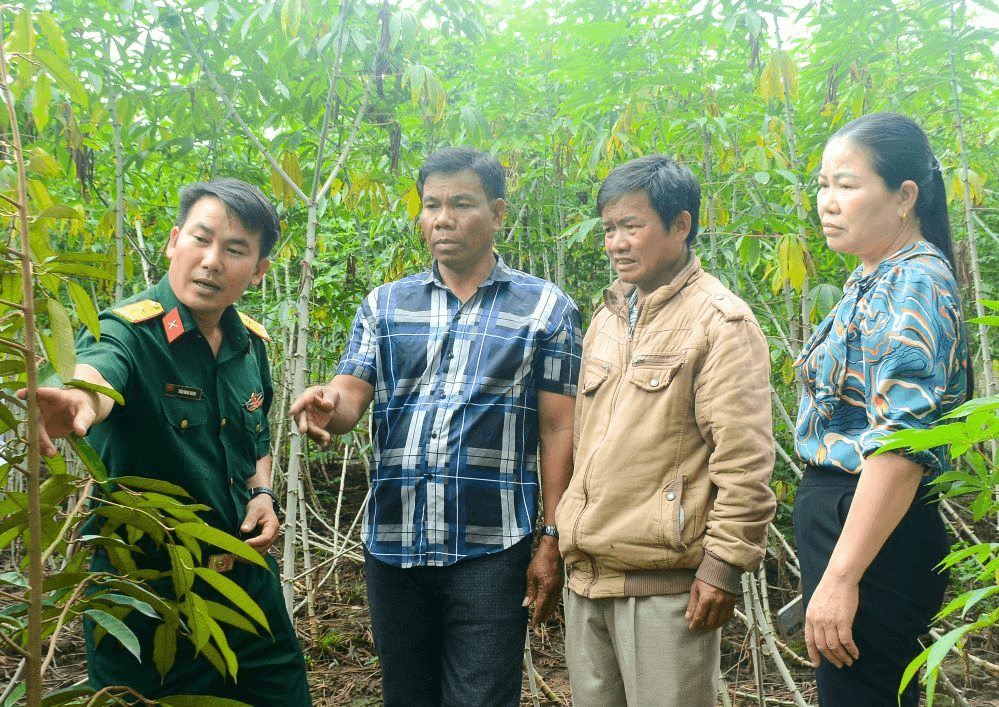 Giúp đồng bào dân tộc thiểu số ở Tây Nguyên thoát nghèo
