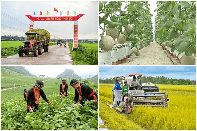 Hỏi-đáp pháp luật: Tổ chức đánh giá, công nhận trình độ kỹ năng cho người lao động là người dân tộc thiểu số, người lao động là người dân tộc Kinh thuộc hộ nghèo, hộ cận nghèo sinh sống ở vùng dân tộc thiểu số và miền núi