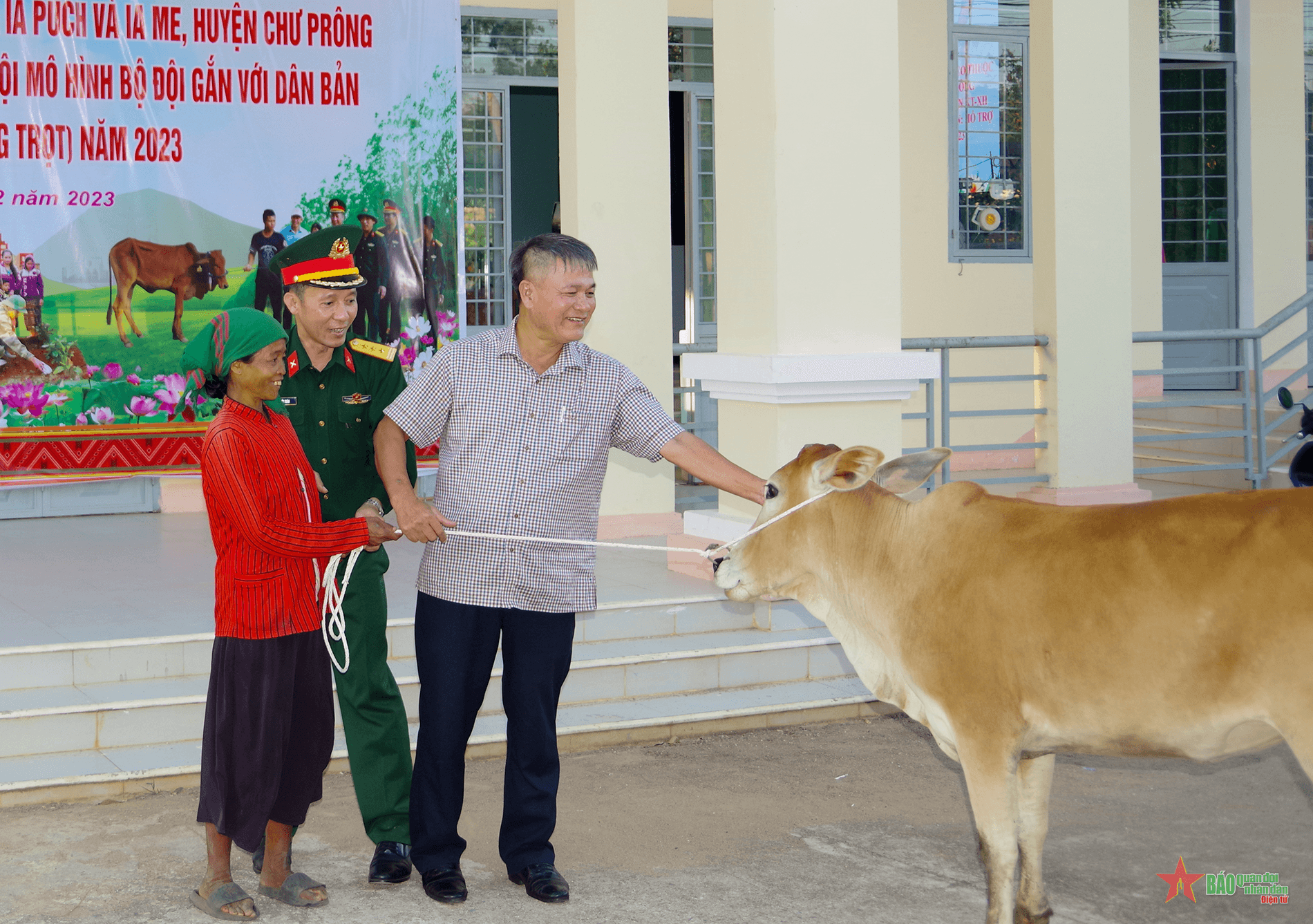 Công ty Bình Dương (Binh đoàn 15) trao 52 con bò giống sinh sản cho người dân