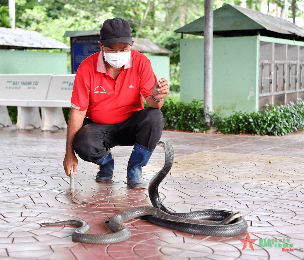 “Bảo mẫu” ở Trại rắn Đồng Tâm, Quân khu 9