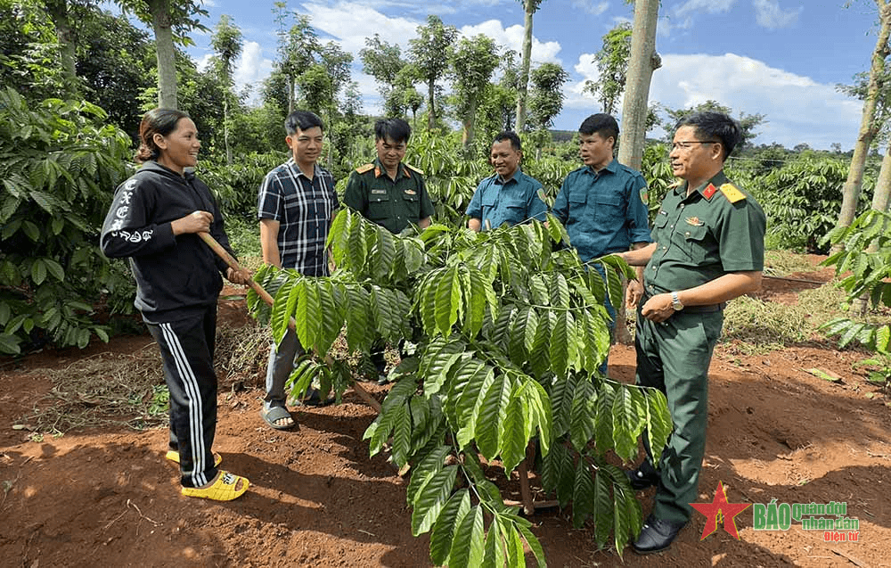 Đảng viên chung tay giảm nghèo ở Nam Tây Nguyên