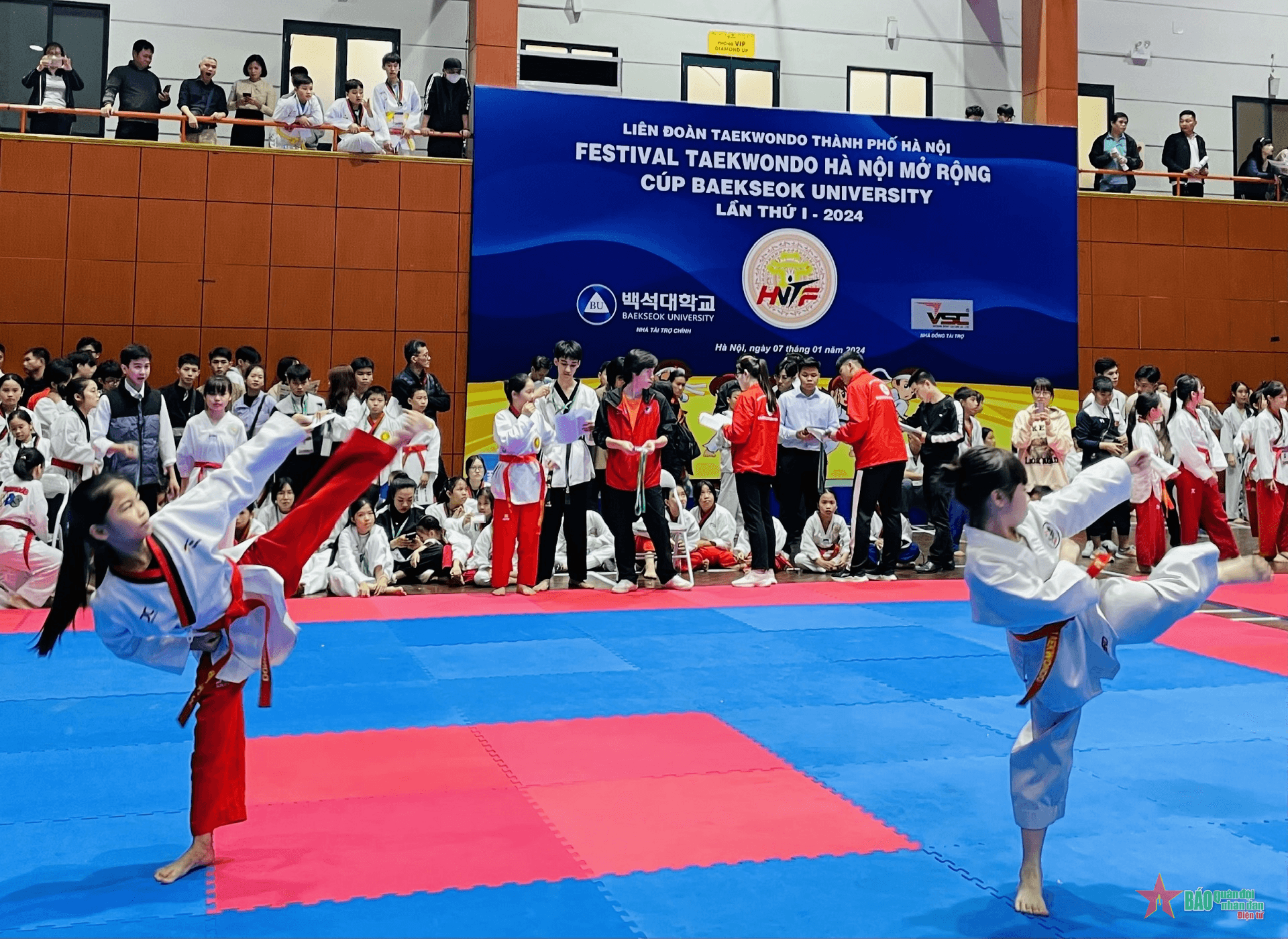 Đặc sắc Festival taekwondo Hà Nội mở rộng 2024