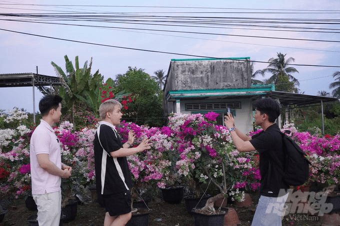 Hỗ trợ người trồng hoa livestream bán hàng trong dịp Tết